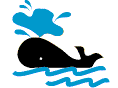 Whale